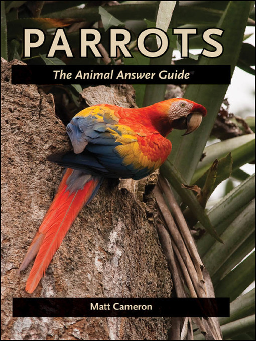 Title details for Parrots by Matt Cameron - Available